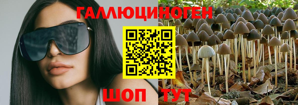 Псилоцибиновые грибы GOLDEN TEACHER  Вход с VPN  Полысаево 